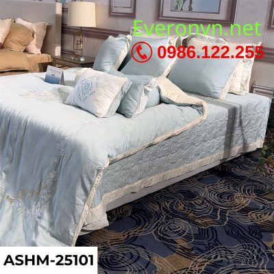 Bộ Everon ASHM-25101